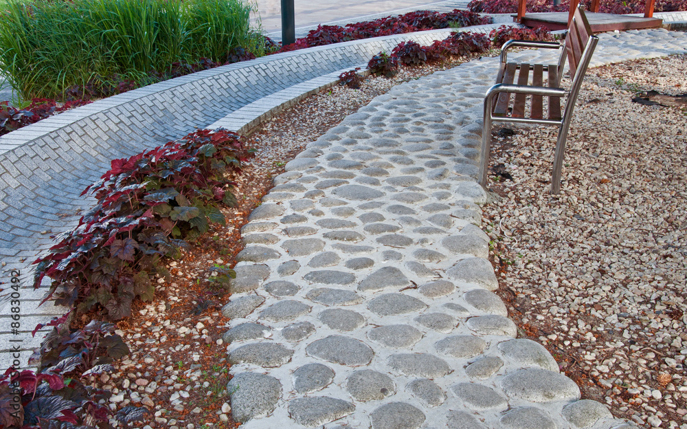 Fototapeta premium spacer po parku