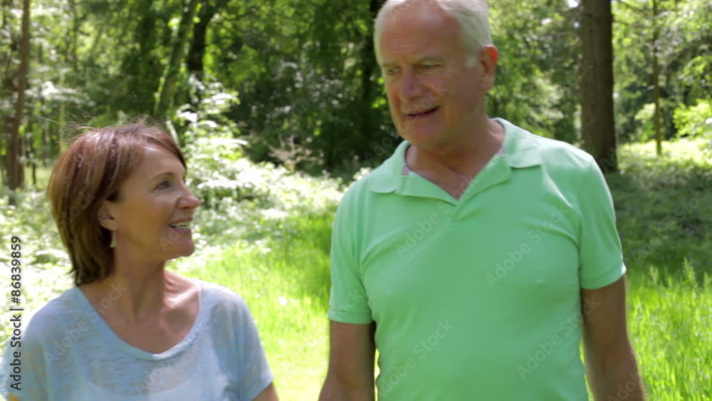 Senior Couple Walking Along Summer Woodland Path Together Senior Couple Walking Along Summer Woodland Path Together