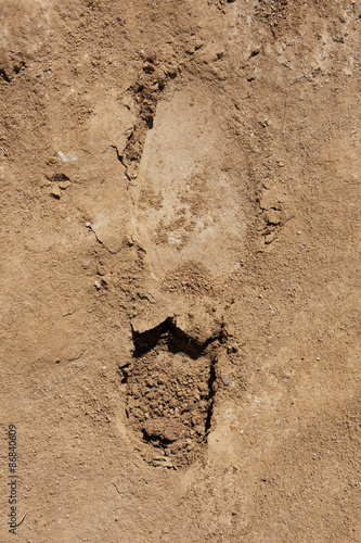  Footprint on sand or dirt 