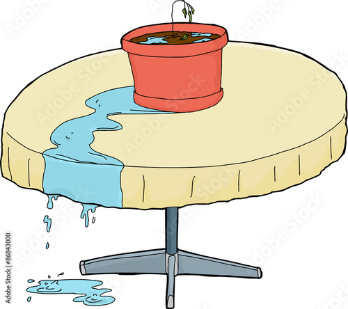 Over-Watered Houseplant on Table