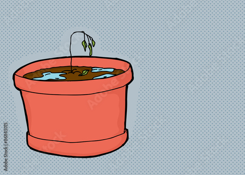 Over-Watered Seedling on Gray