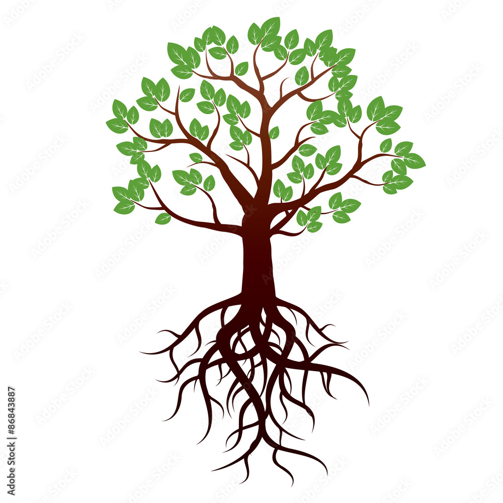 Tree and Roots. Vector Illustration. Tree and Roots. Vector Illustration.