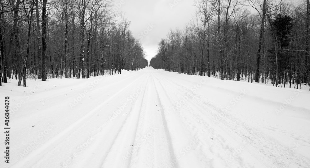 Obraz premium Desolate Country Backwoods Road Covered in Fresh Snow