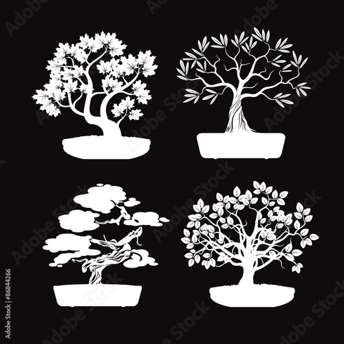 Set of White Bonsai Trees.