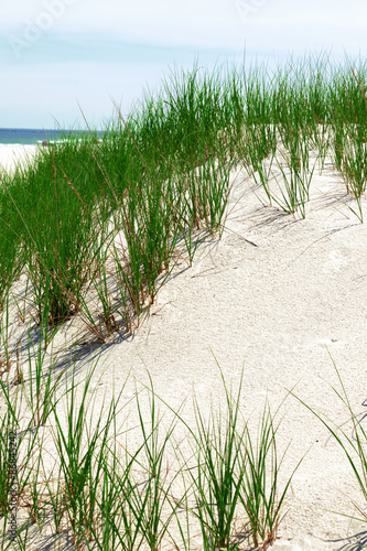 White sand dunes with green grass.