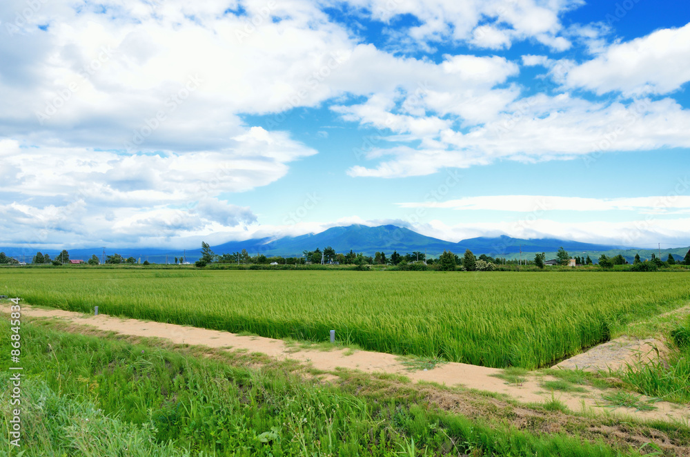 北海道　夏の富良野と十勝岳