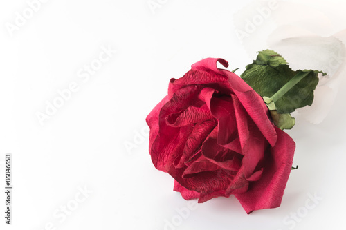 artificial red rose