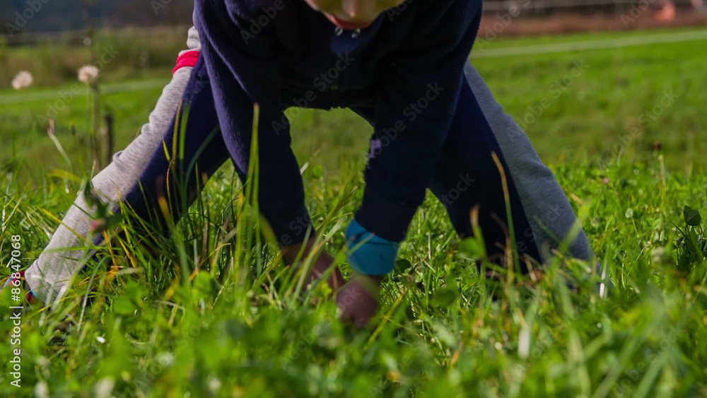 Cutting in to grass with sword slow motion Cutting in to grass with sword slow motion