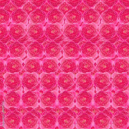 amask rose pattern background photo