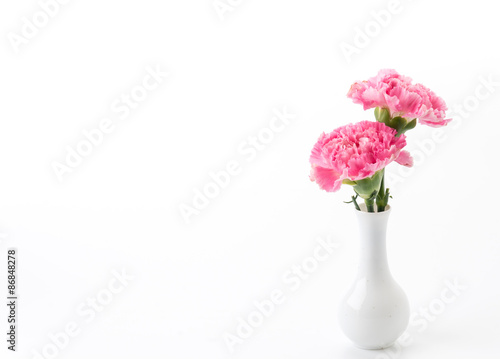 Wallpaper Mural pink carnations flower Torontodigital.ca