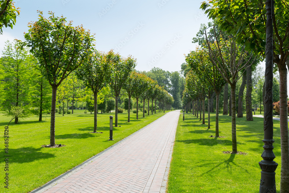 Fototapeta premium Pavement in the park