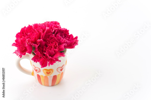 Wallpaper Mural red carnations flower Torontodigital.ca