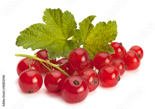 Red currant on white