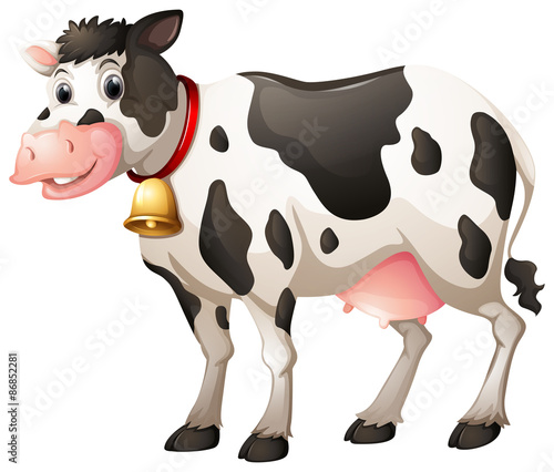 Cute cow
