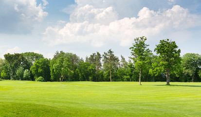Summer park