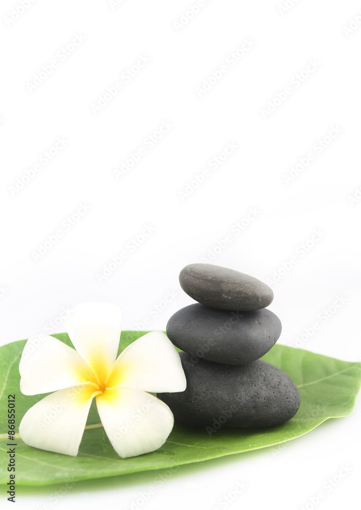 Obraz premium Zen stones with frangipani flower on white
