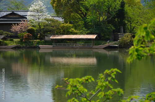 Japanese garden 日本庭園 大沢池
