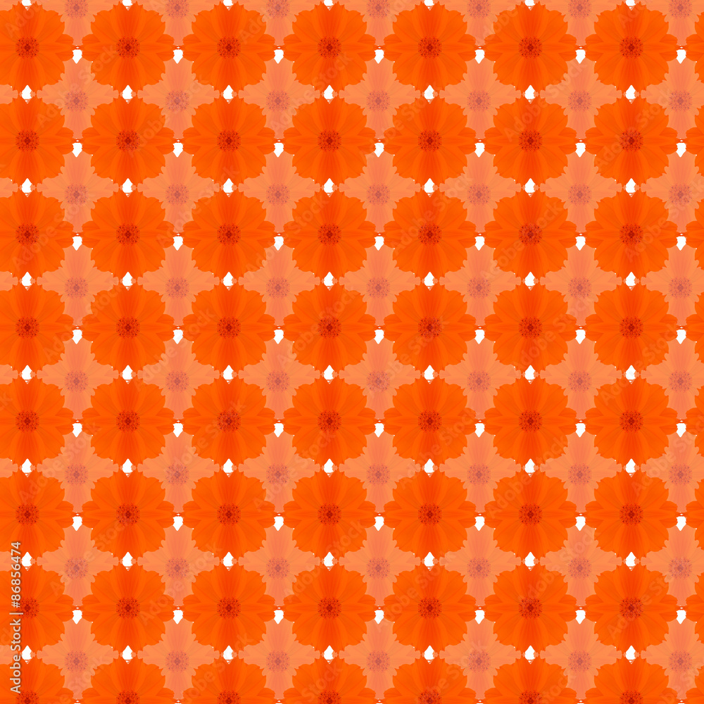 Orange cosmos seamless pattern background Orange cosmos seamless pattern background