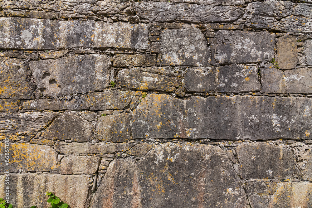 Fototapeta premium アイルランドの古い石壁 Wall of Irish remains
