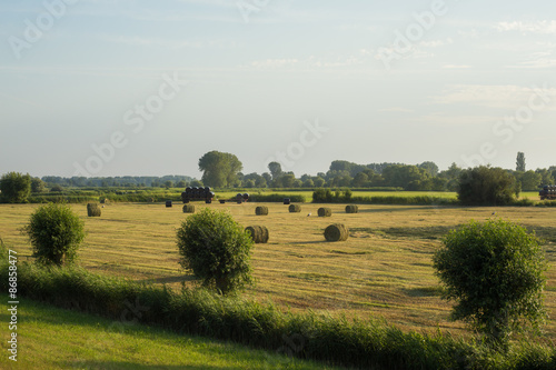 Hooibalen in een weiland met ooievaars - Overijssel Nederland photo