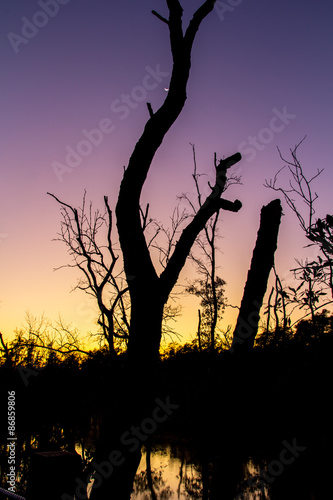 Twilight silhouette sunrise landscape outdoors