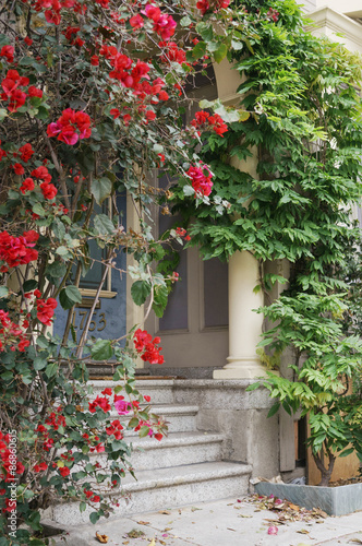 Fototapeta Naklejka Na Ścianę i Meble -  Flowers in front of House in San Francisco