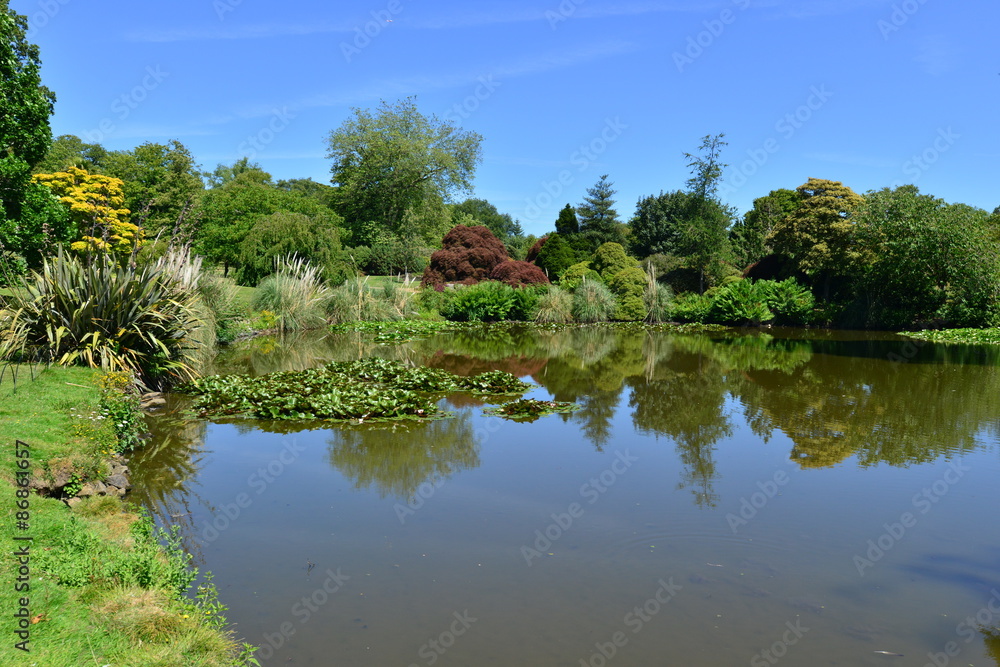  A lake/ pond at an English country estate in summer