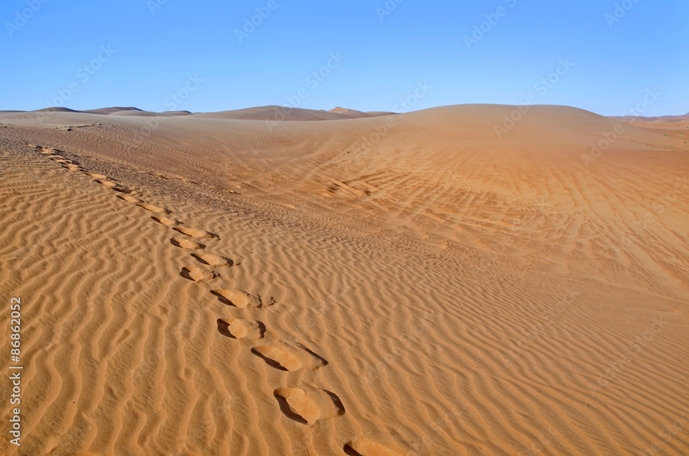 Dunes in the desert.Arid desolate landscape.Footprints in the sa Dunes in the desert.Arid desolate landscape.Footprints in the sa