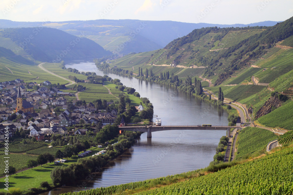 Fototapeta premium River Moselle Germany