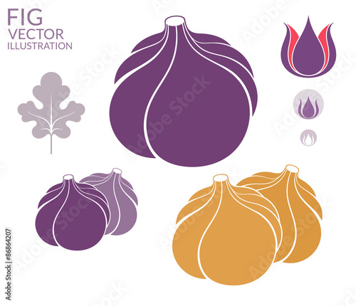 Fig. Set