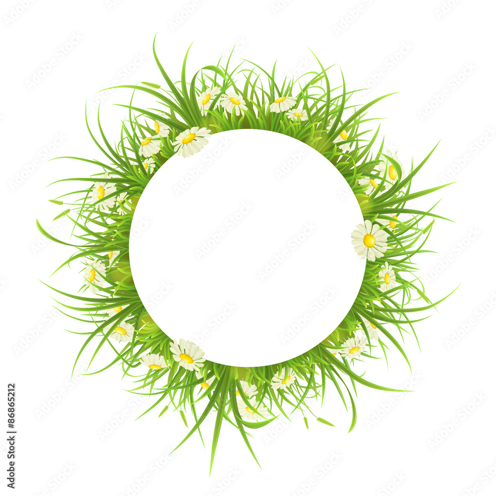 Round frame with green grass and daisies on white background Round frame with green grass and daisies on white background