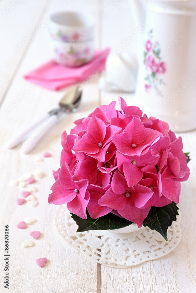 Drinking tea with flower hydrangea Drinking tea with flower hydrangea