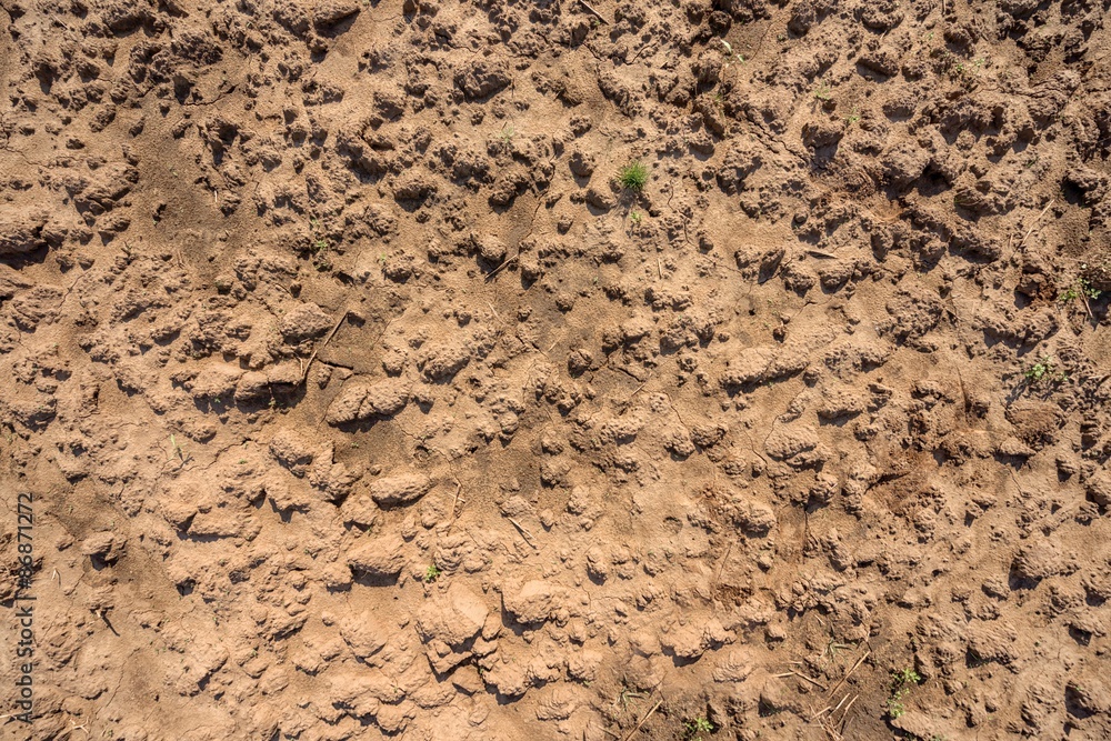 Dry soil closeup before rain