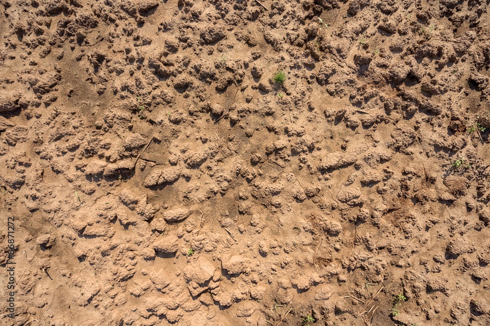 Dry soil closeup before rain Dry soil closeup before rain