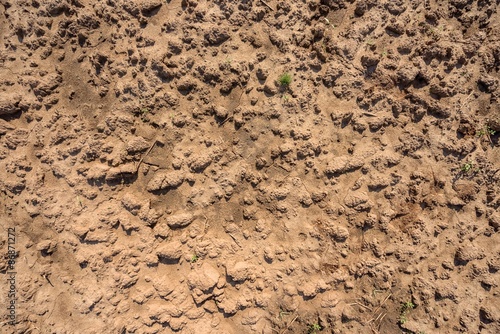 Dry soil closeup before rain