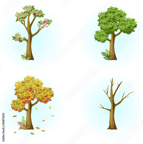 Four seasons , tree , autumn, winter , snow, tree blossoms , spring, deciduous tree