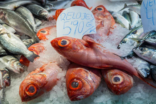 Slimehead fishes at Mercat de Sant Josep de la Boqueria market in Barcelona, Spain