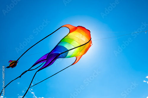 Fish-like kite flying on the sky