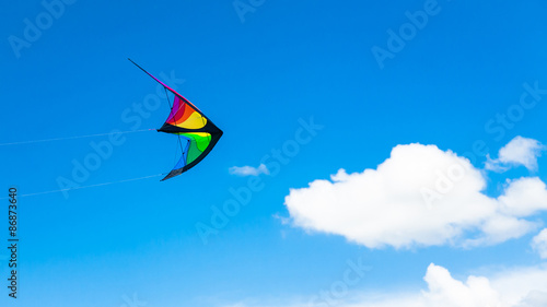 Managed wing-like kite flying on the sky
