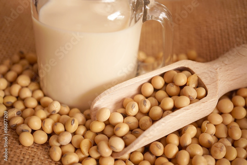 soy milk and soy beans
