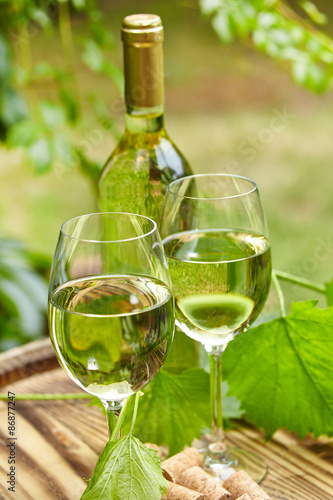 Garden with white wine and bottles