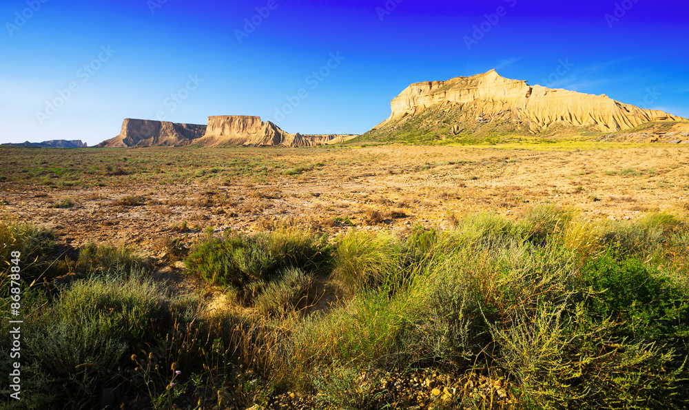 Fototapeta premium desert landscape of Navarra in summer