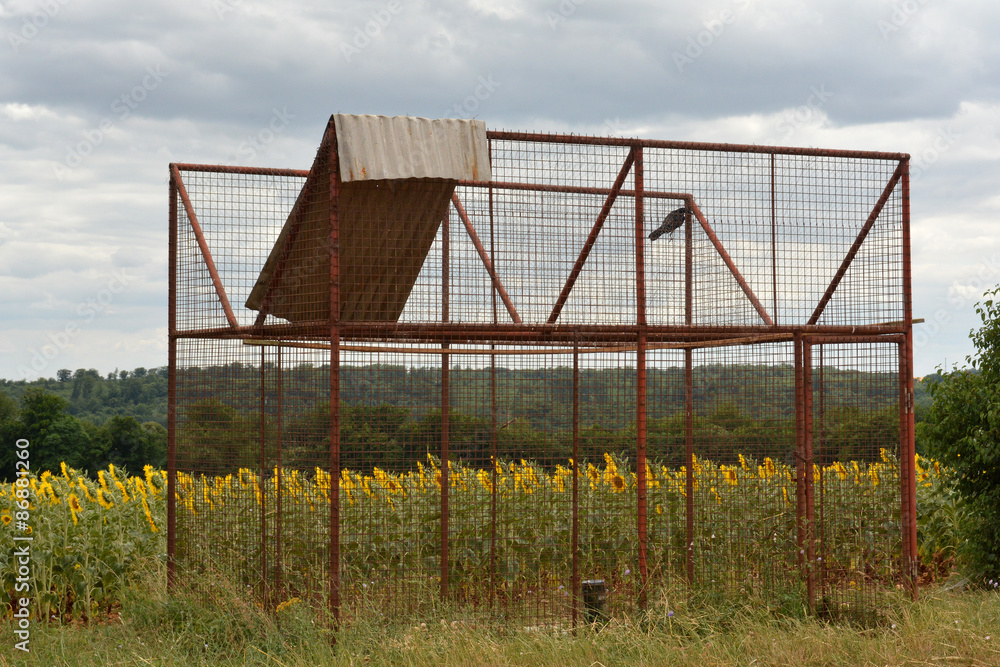 Cage à corbeau / Cage pour contrôle des populations de corvidés