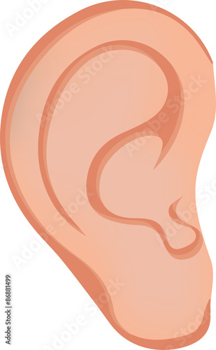 The Ear