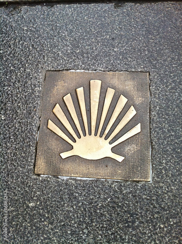 Camino Portugues