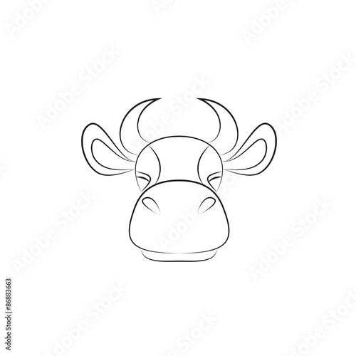 Cow on a white background