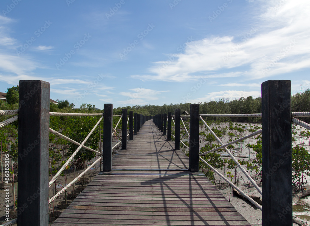 Fototapeta premium Wooden bridge into mangrove forest