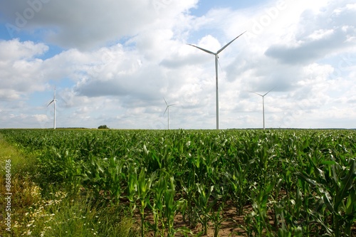 Windmills standing on corn field
