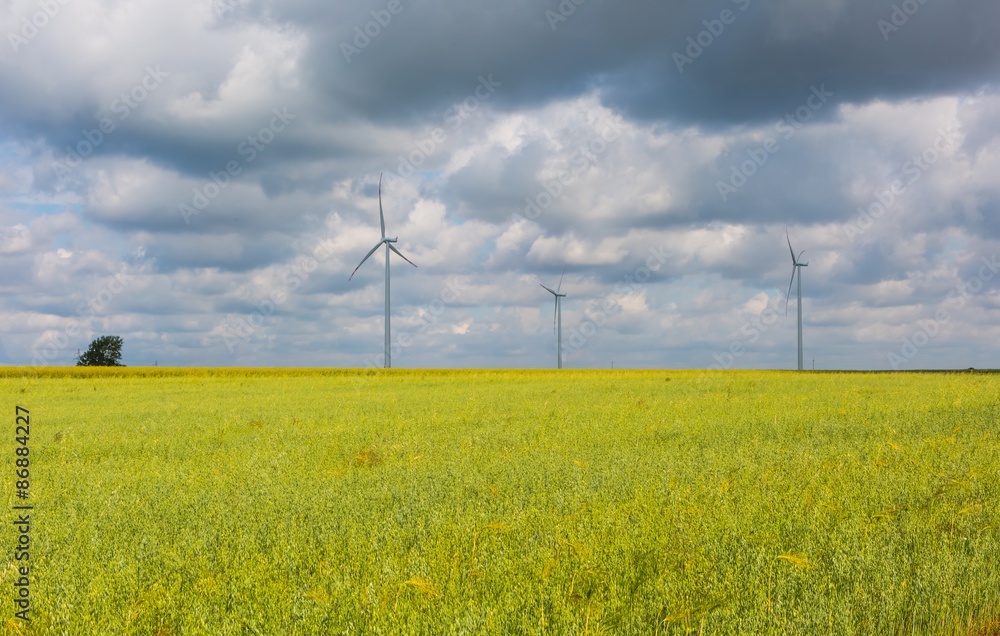 Windmills standing on corn field Windmills standing on corn field