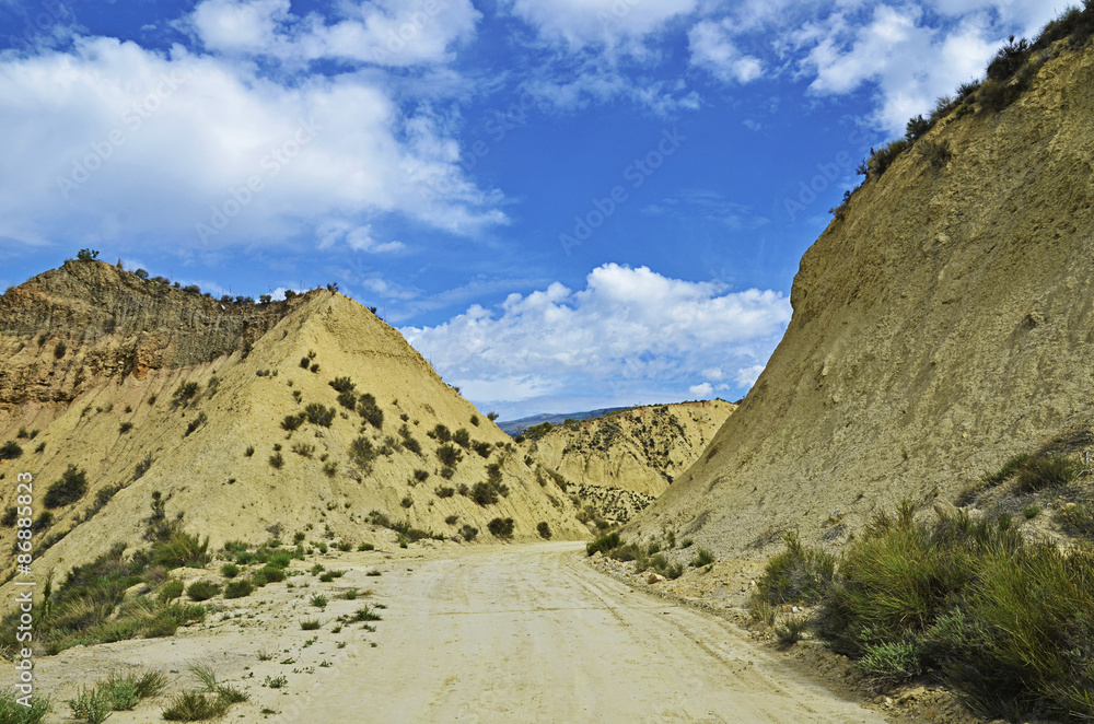 Road in desert landscape